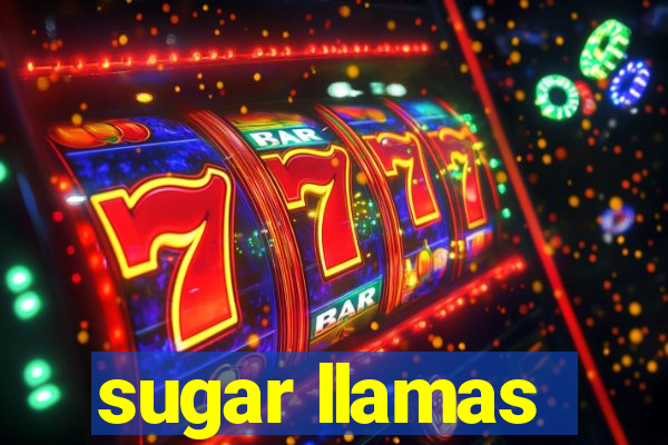 sugar llamas